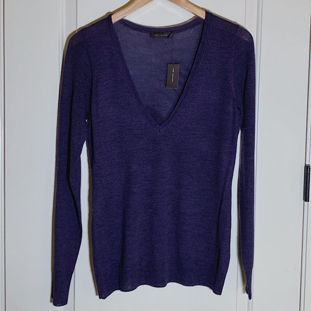 Purple lightweight pullover V neck sweater